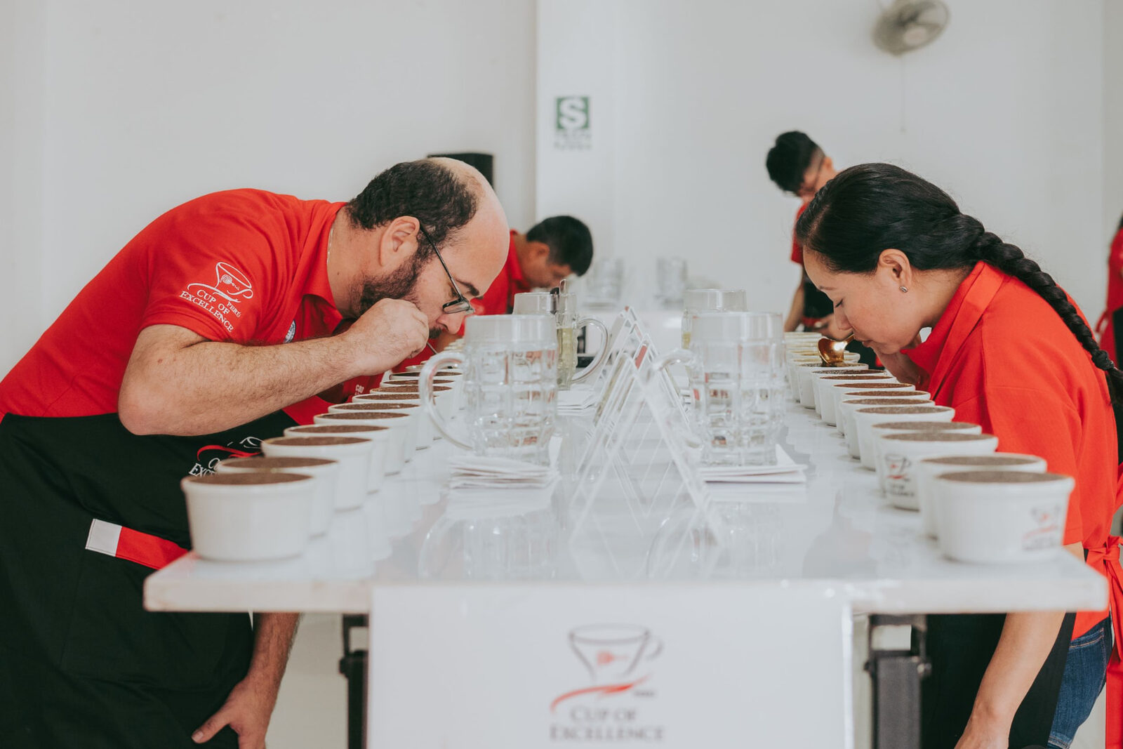 Fotografía real de taza de excelencia